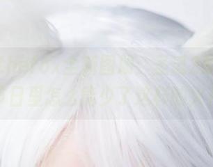 Sayathefox全新图册：圣诞2B，清冷的节日里怎么能少了这样的火花？
