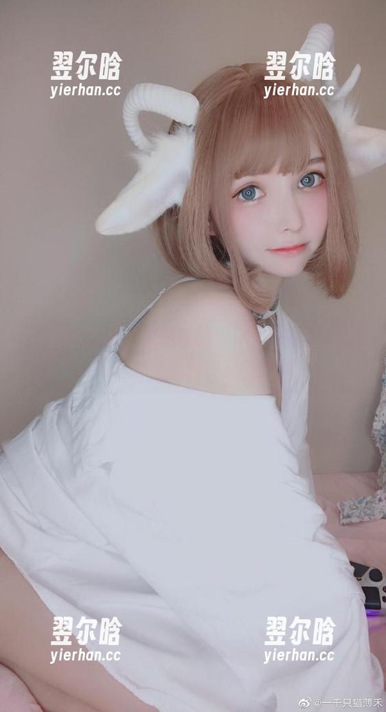 一千只猫薄禾 当无圣光遇上静谧夜曲,一千只猫薄禾的艾瑞尔更新了一天的心情